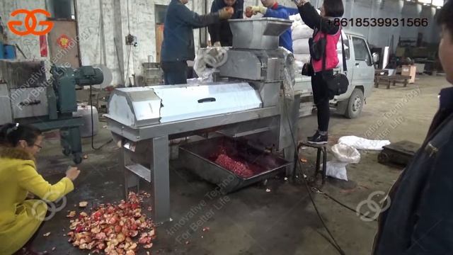 Automatic Pomegranate Deseeding Machine India