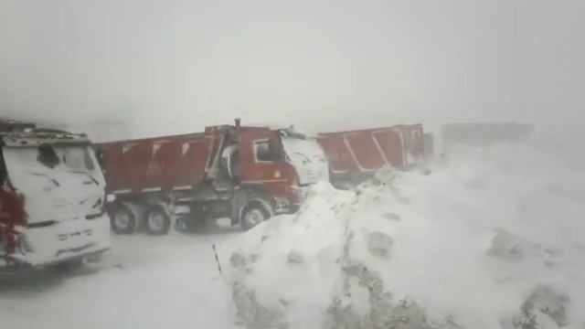 мессояха м/р