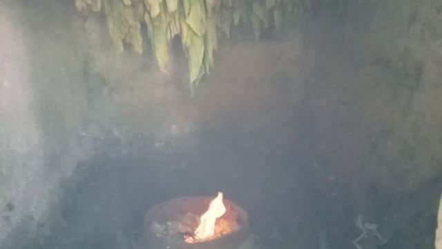 Огневая сушка листа