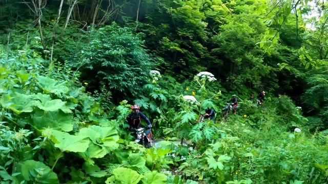 3df5674019081e776c0724671f0489a7