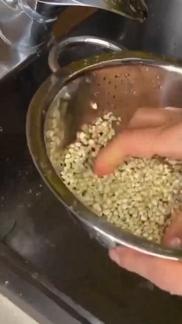 ПРОРАЩИВАЕМ ЗЕЛЕНУЮ ГРЕЧКУ #рецепт  #веган  #вегетарианскиерецепты