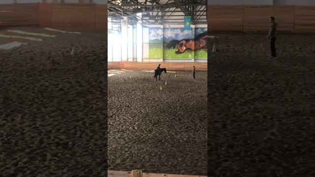 Учимся управлять лошадью