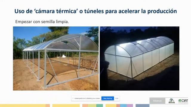 9198ef5e7c6fea9e03393e26bcb1c980