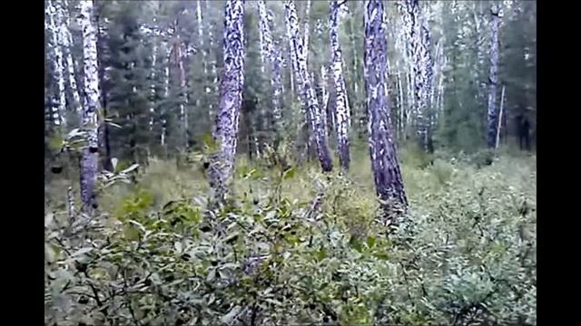 Зауралье - сибирская Италия