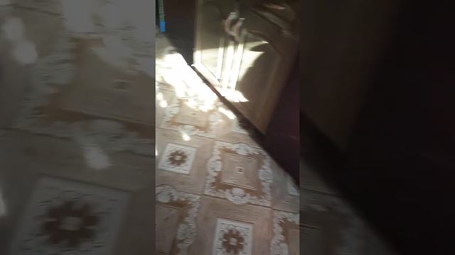 ВЛАСТНАЯ МАМОЧКА ЛИЛУ....