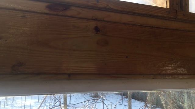 Winter Update, Greenhouse Build Part 4