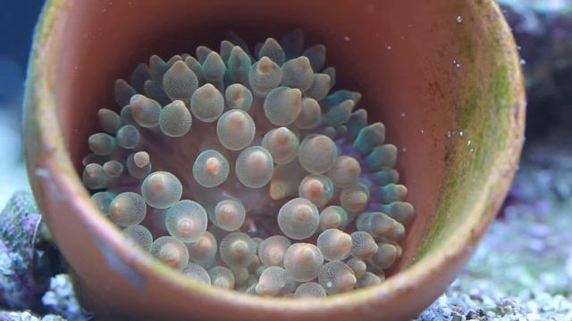 14112e7dda9b3b8d8931650da135fbc0