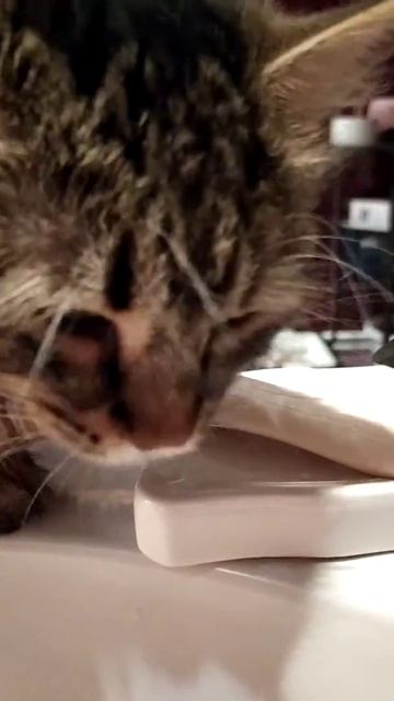 De7e19d238835b403bb3e861d736070e