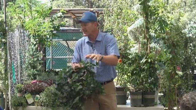 16751245e8973b96e8ac6b894ad8683a