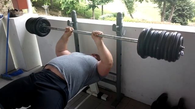 Hulk France 132kgx12 Triceps