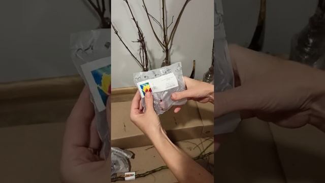 B78467b04bf80c242a6b0a7833c0f473