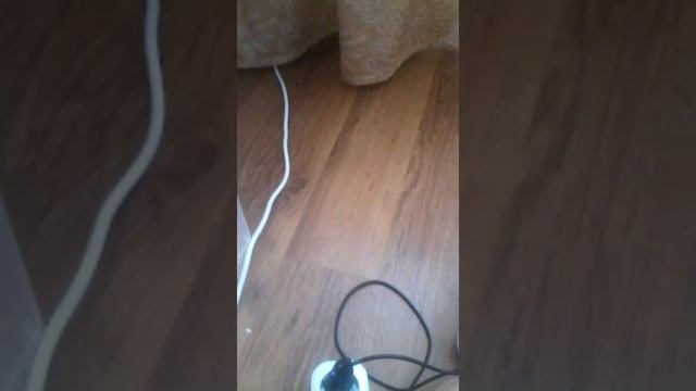 Как дела у Хомы и Джеси и улитёнка