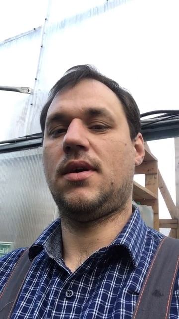 #рассада#огурцы#выращиваем дома#сад