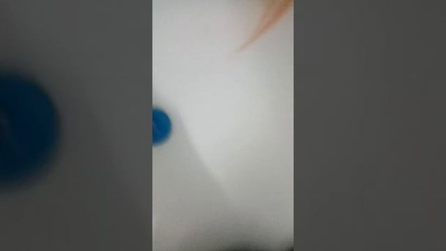 Хорьки атакуют!