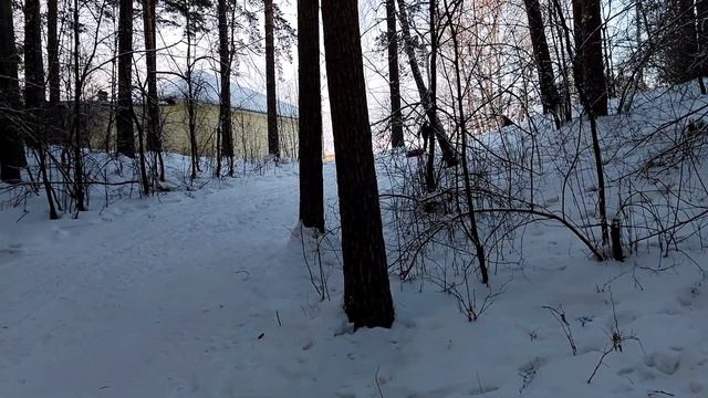 Холодно 🥶 Холодно 🥶 Ну ни Чё...Катаемся с Горок/Игры с Собакой/29.01.22
