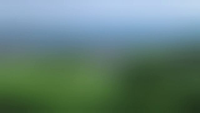 Herana Hera Kaanchha Covered By |Bakemono Gurung| Lyrics And Chords |Aruna Lama|