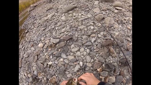 Lenok In Mongolia.mp4