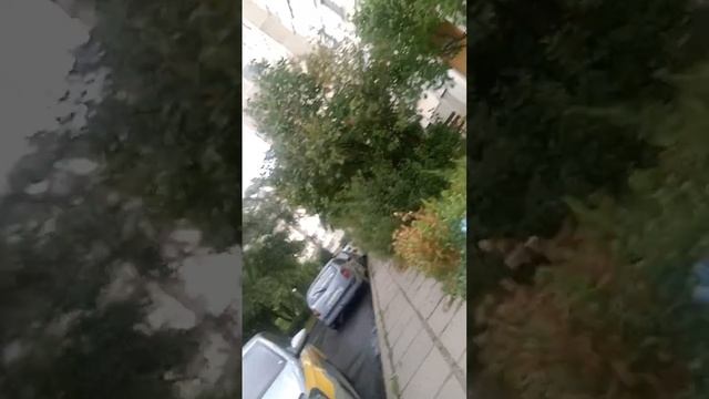 расклеиваемся за процент и не за процент от Бреста до Малиновки