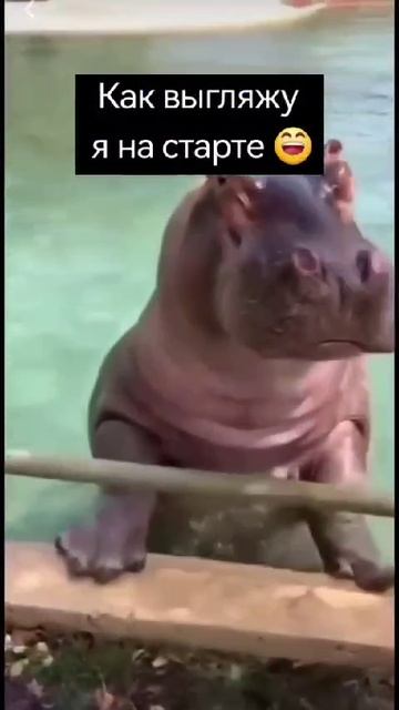 7e0d301d64a05ea39acaf5696ae60717