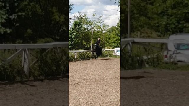 Берта, башкирская кобыла, август 2019