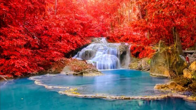 Rusl Ter - Catherine