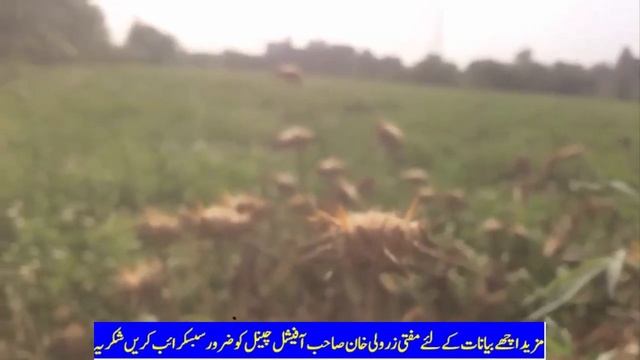 F9be4bc3ceb1d25c5446392e2f61b902