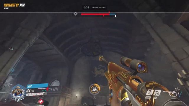 Слип вдовы на люстре 18 09 22 16 47 52