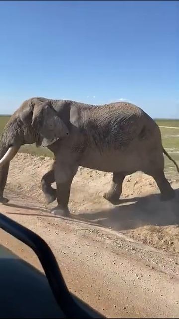 БОЛЬШОЕ ПУТЕШЕСТВИЕ ПО ЮАР в 2023 году