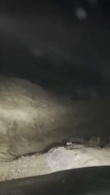 Нападение волков в горах! Магомед рассказывает предысторию охоты.