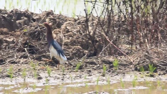 765fc1d01ae36578965087e532817088