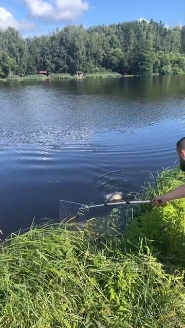 2f528fc4bc98a31cc00695d753a78c05