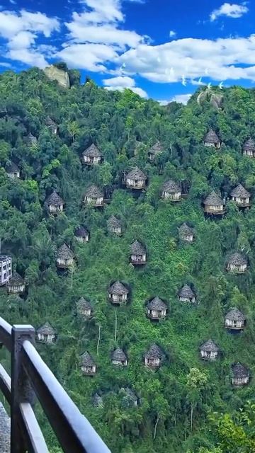 Birds Nest Resort On Mountainside In Sanya 🕊️🍃❤️ #shorts #nature