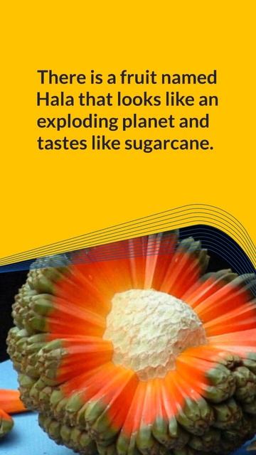 8 Amazing Mind Blowing Facts  In English 🤯🤯#shorts #subscribe