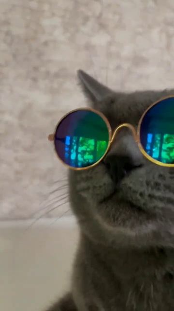 0cb6e8c282eedec0d10fd7a31fa23f9b