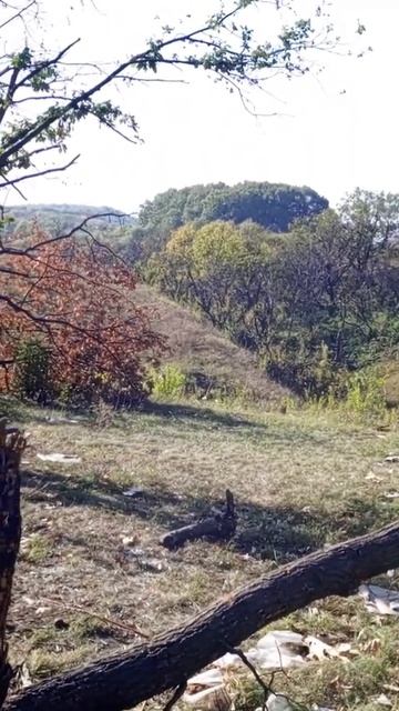 31 января 2024 г.