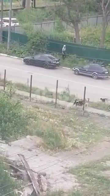 E1fadcf35e325d983b0755a410aee1fe