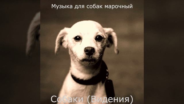 Впечатление (Спящие собаки)