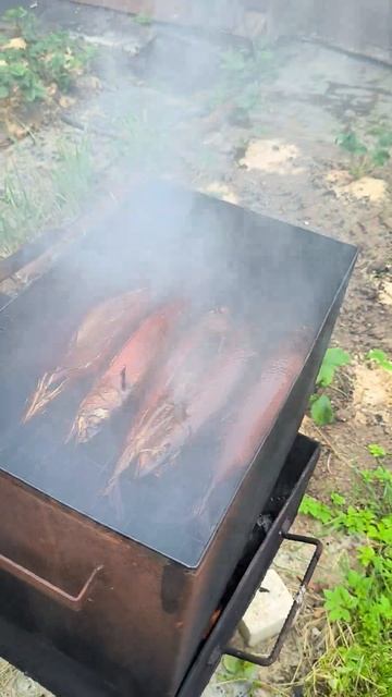 Скумбрия горячего копчения 😁😁