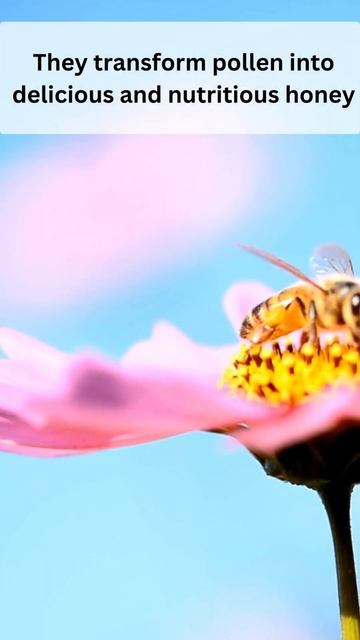 97ffe0aa9713da1ab971b634fee964e8