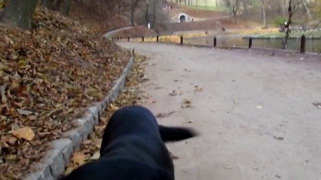 Человек в очках - Мураками