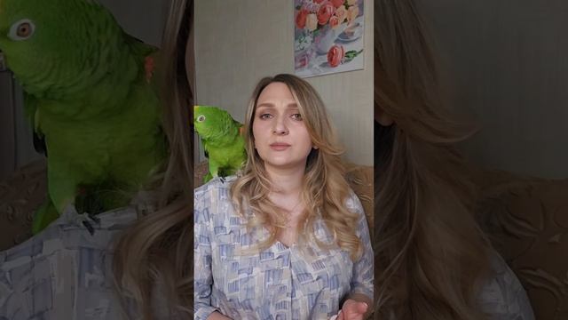 Почему попугай боится / кусается. Давайте разберём в комментариях чего боится ваш попугай и почему.