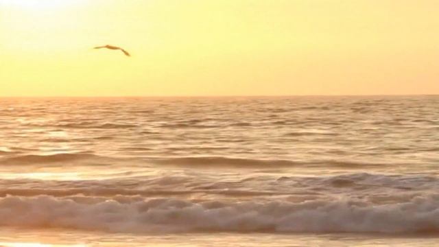 Kako Reći Da Te Volim - Pero Radaić