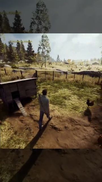 Эй, Винсент! Летающая курица!