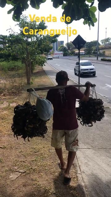 Quem Não Gosta De Um #caranguejo? Aqui No Nordeste Há A Tradição Da Venda Pelas Ruas