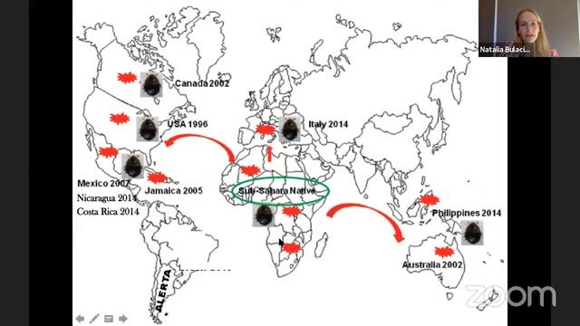Sanidad En La Colmena. Varroa Y Pequeño Escarabajo De La Colmena