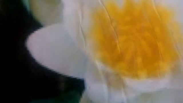 Пазете чисто моля😁🤗