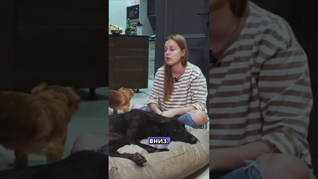 E2b8a1adf4a3077411b375718499bed7