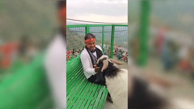 Journey To The Mata Vaishno Devi Mandir | Vaishno Devi Shrine Board Katra , Jammu & Kashmir |