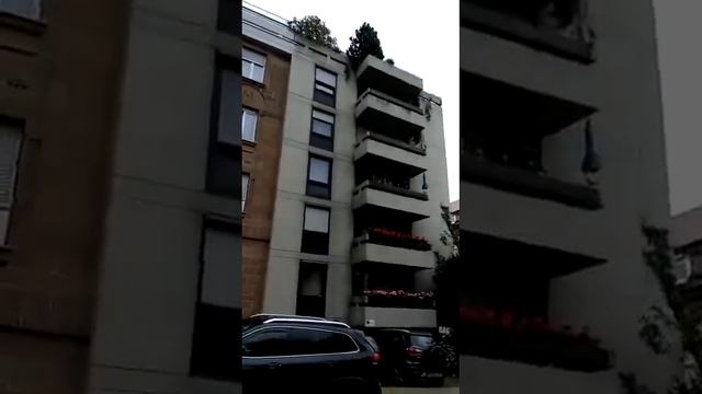 25 декабря 2020 г.