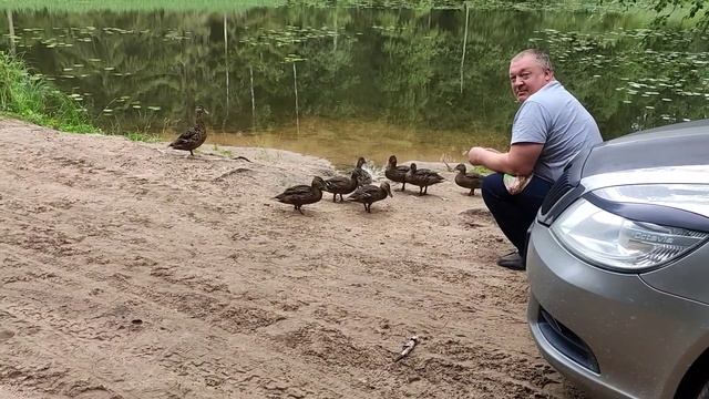 8f067114a7a431c47815d5ed15fab216